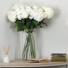 Load image into Gallery viewer, Apothecary Vase | Three Sizes