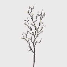 Load image into Gallery viewer, Magnolia Bud Branch
