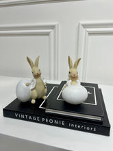 Load image into Gallery viewer, Peter Rabbit &amp; Benjamin Bunny
