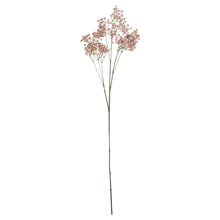 Load image into Gallery viewer, Pink Babys Breath Gypsophilia
