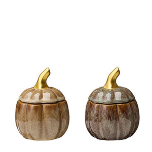 Autumnal Lidded Pumpkin (Available in Two Colours)