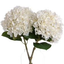 Load image into Gallery viewer, Oversized White Hydrangea
