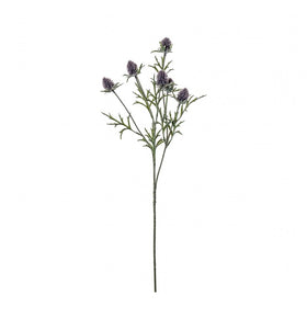 Blue Thistle Stem