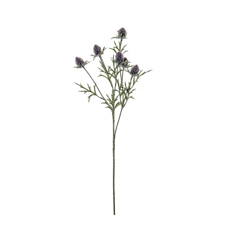 Blue Thistle Stem