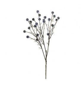 Echinops Spray