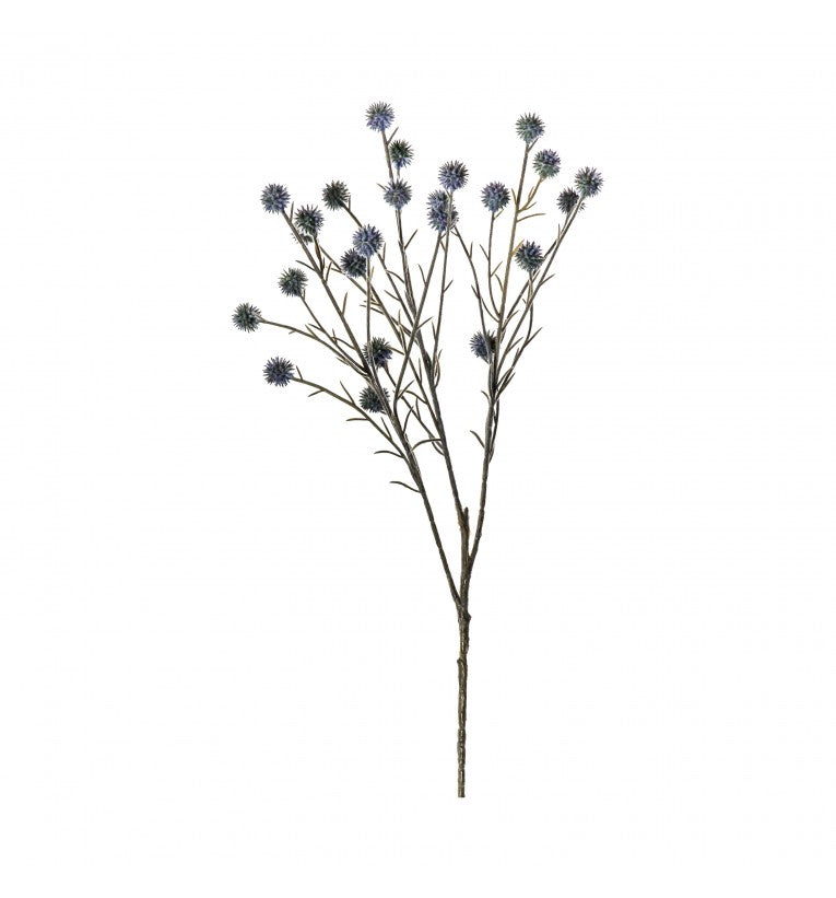 Echinops Spray