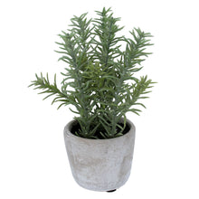 Load image into Gallery viewer, Faux Rosemary Pot
