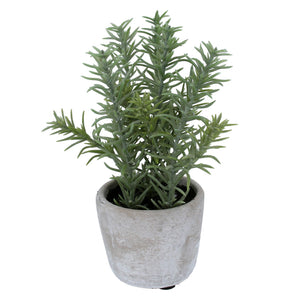 Faux Rosemary Pot
