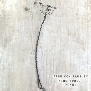 Wire Sprig | Cow Parsley