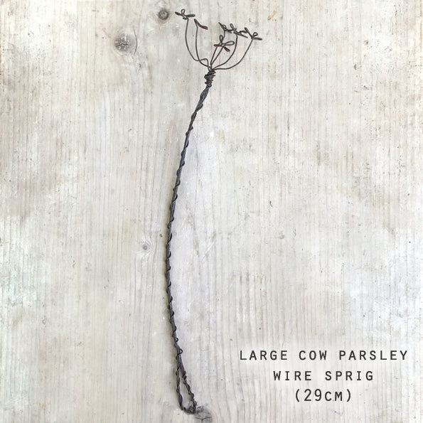 Wire Sprig | Cow Parsley