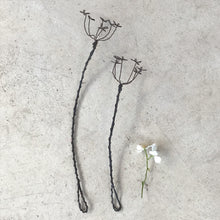 Load image into Gallery viewer, Wire Sprig | Cow Parsley
