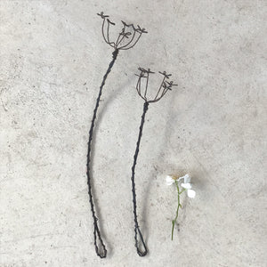 Wire Sprig | Cow Parsley