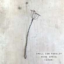 Load image into Gallery viewer, Wire Sprig | Cow Parsley
