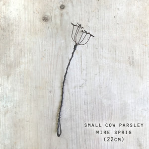 Wire Sprig | Cow Parsley
