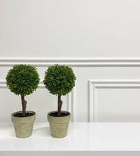 Load image into Gallery viewer, Miniature Boxwood | Faux

