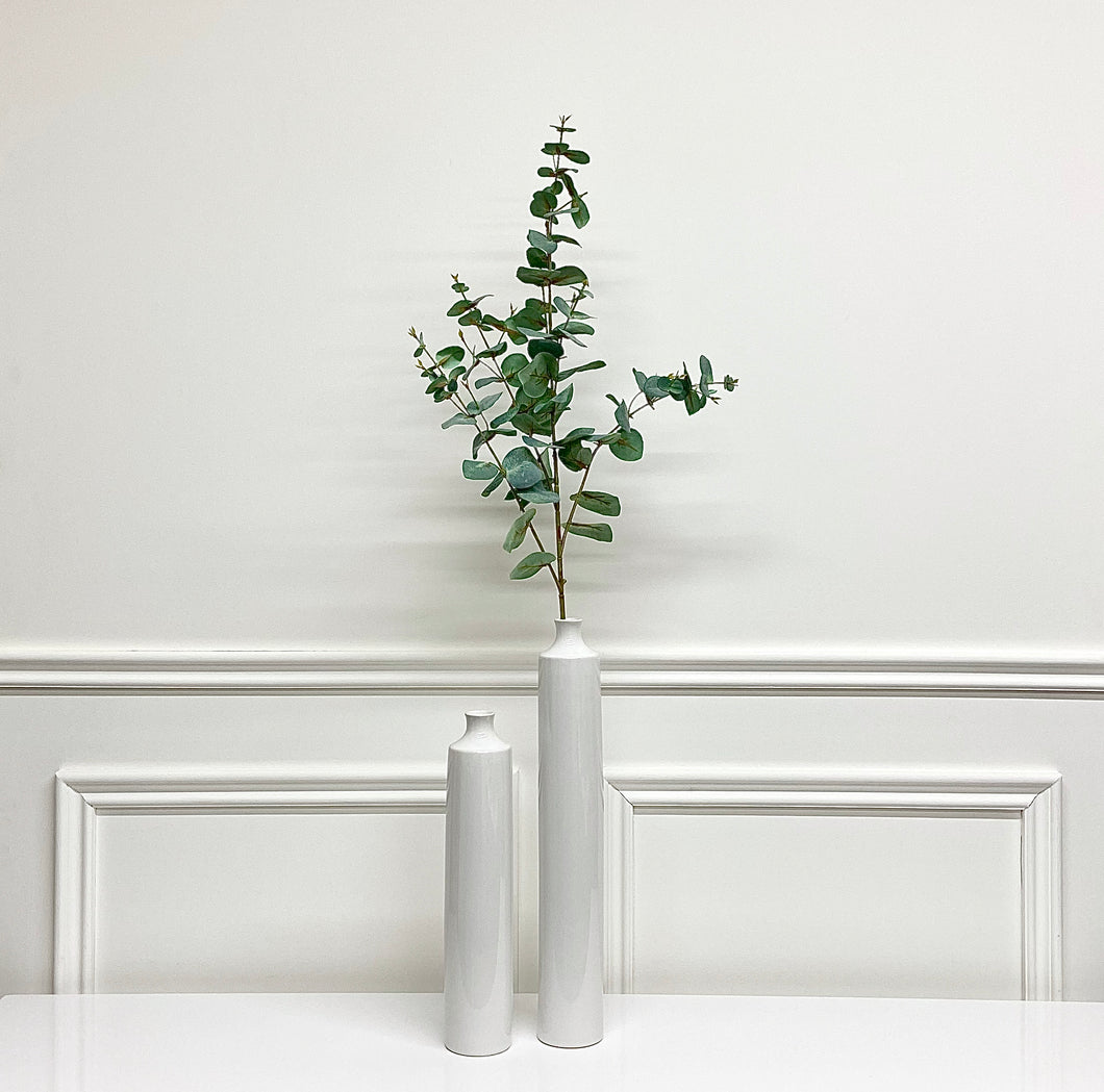 Eucalyptus