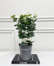 Load image into Gallery viewer, Eucalyptus Tin Pot
