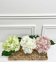 Load image into Gallery viewer, Large Hydrangea in Glass Vase (Available in Three Colours)
