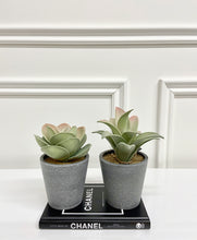 Load image into Gallery viewer, Set of Grey Potted Succulents
