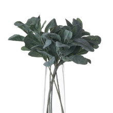 Load image into Gallery viewer, Lambs Ear Spray | 3 Stems
