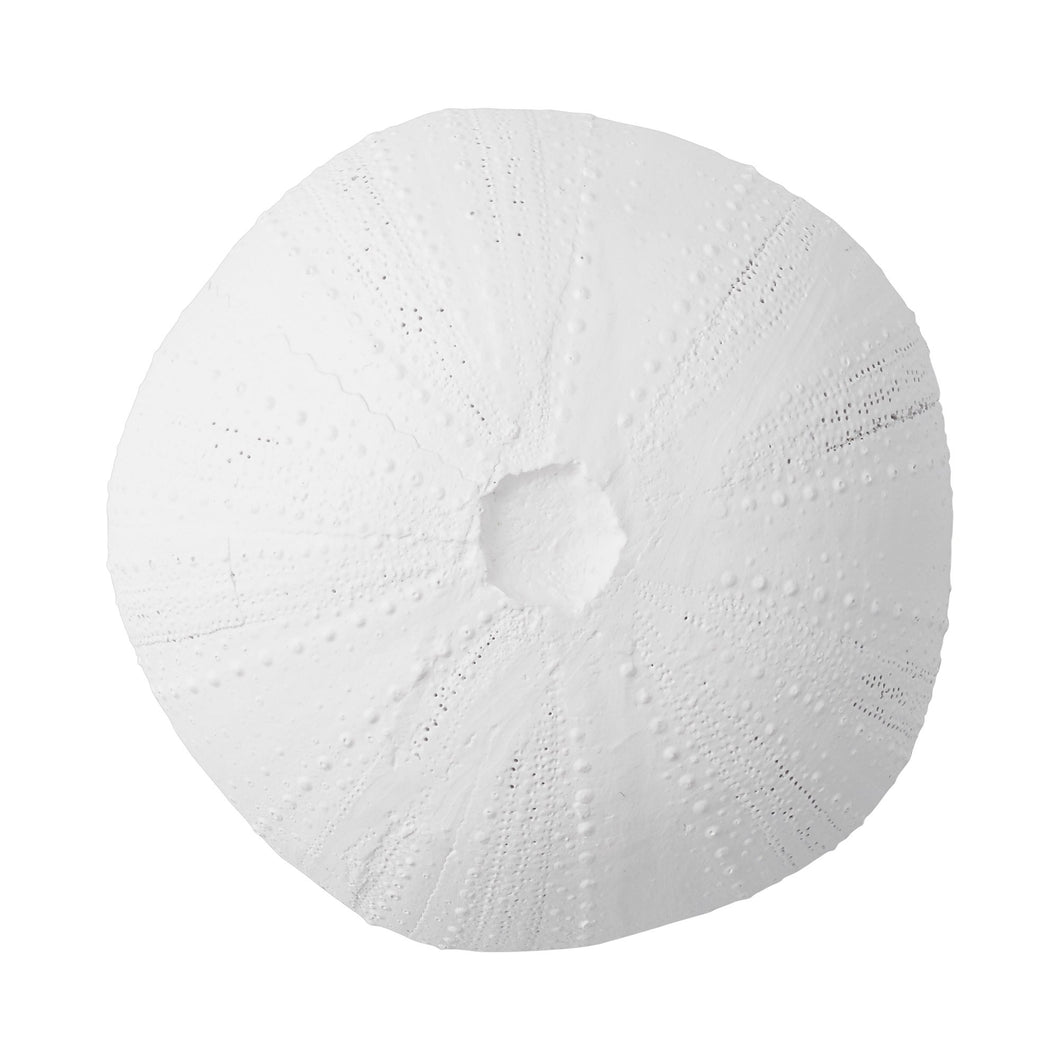 Lene Bjerre Sea Urchin