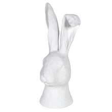 Load image into Gallery viewer, Fabio &amp; Florian Rabbits
