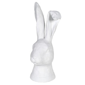 Fabio & Florian Rabbits