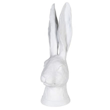 Load image into Gallery viewer, Fabio &amp; Florian Rabbits
