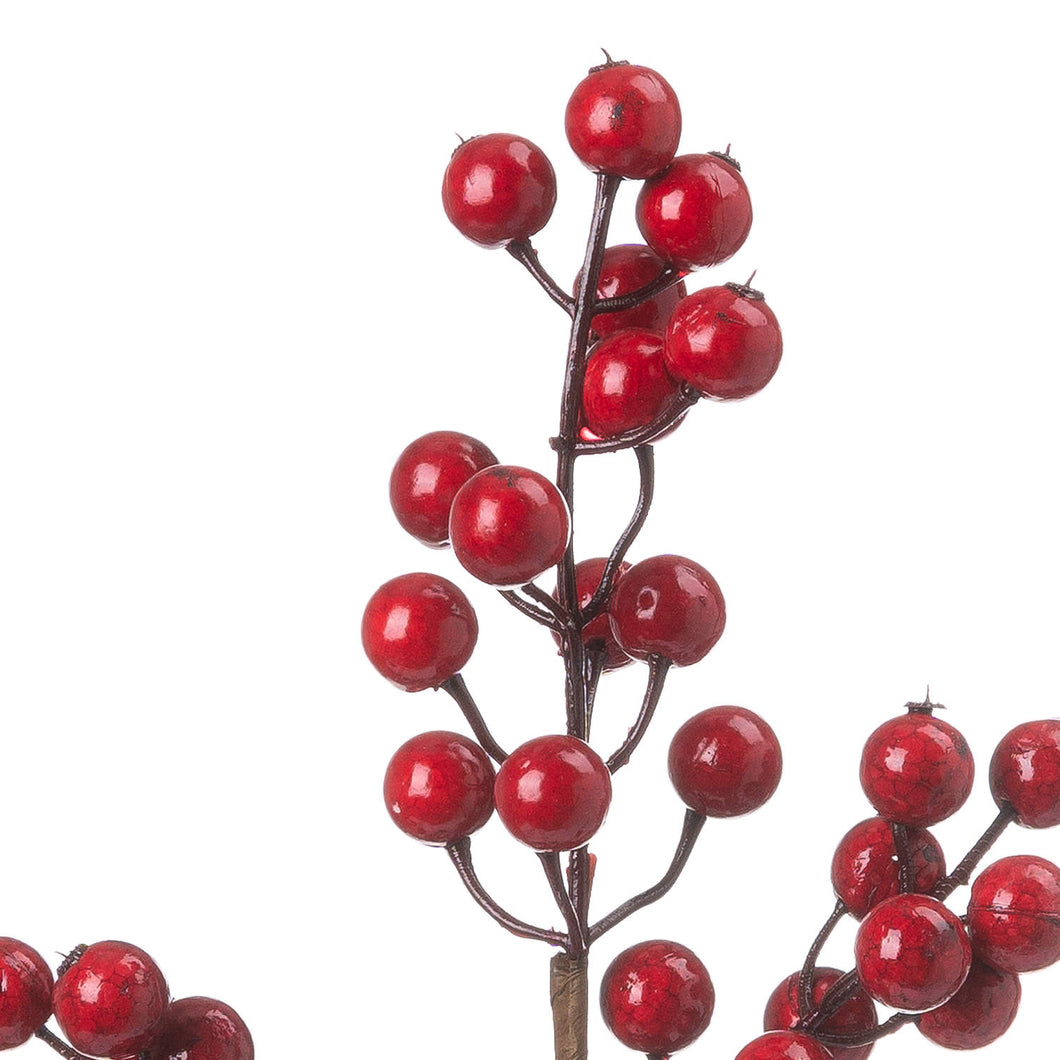 Mini Berry Pick | Festive