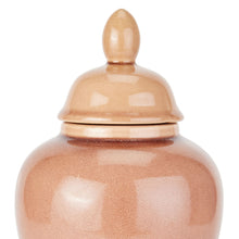 Load image into Gallery viewer, Blush Ginger Jar
