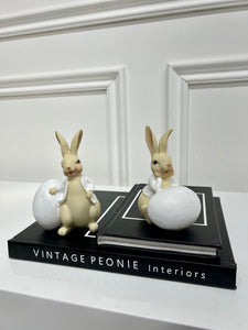 Peter Rabbit & Benjamin Bunny