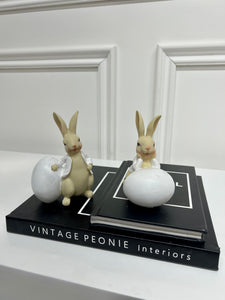 Peter Rabbit & Benjamin Bunny