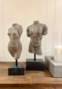 Torso | Male & Female