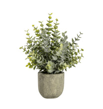 Load image into Gallery viewer, Eucalyptus | Rustic Pot
