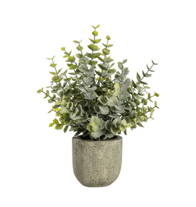 Eucalyptus | Rustic Pot