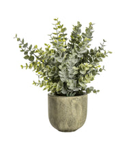 Load image into Gallery viewer, Eucalyptus | Rustic Pot
