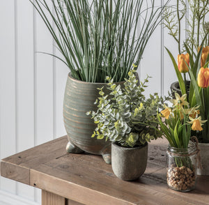 Eucalyptus | Rustic Pot