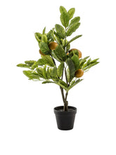 Load image into Gallery viewer, Lemon Tree | 5 Fruits
