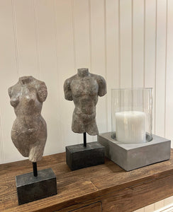 Torso | Male & Female