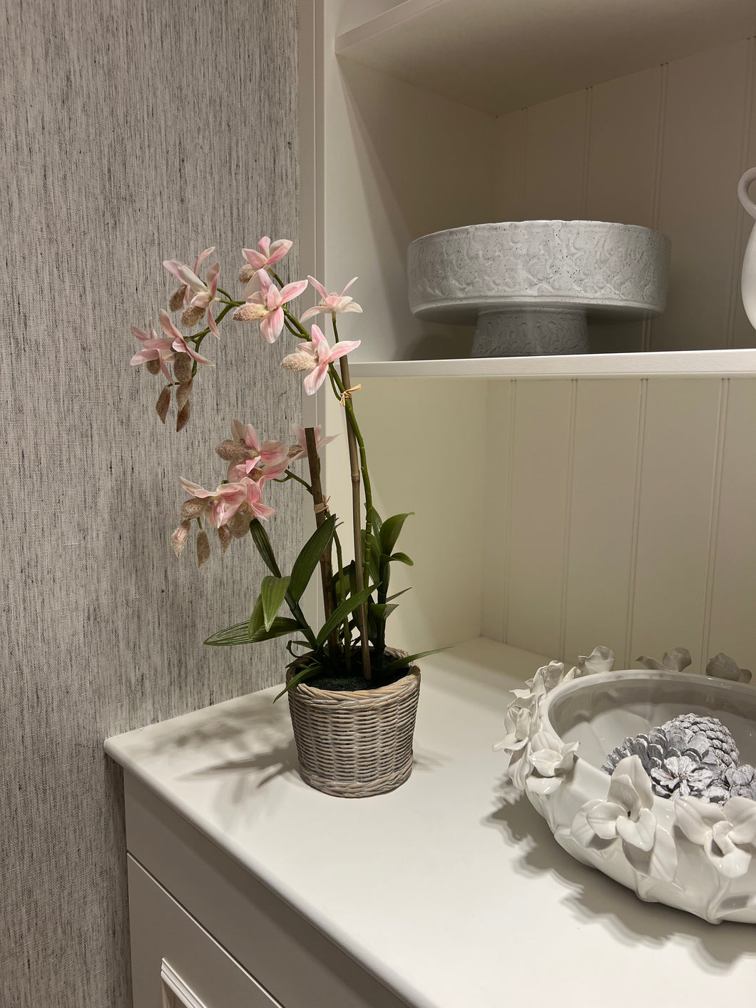 Pink Orchid in Pot