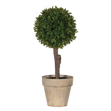 Load image into Gallery viewer, Miniature Boxwood | Faux
