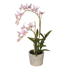 Load image into Gallery viewer, Pink Orchid in Pot
