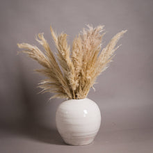 Load image into Gallery viewer, Regina Vase | Large
