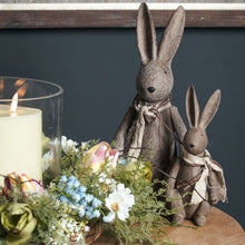 Load image into Gallery viewer, Rena Bunny Rabbits
