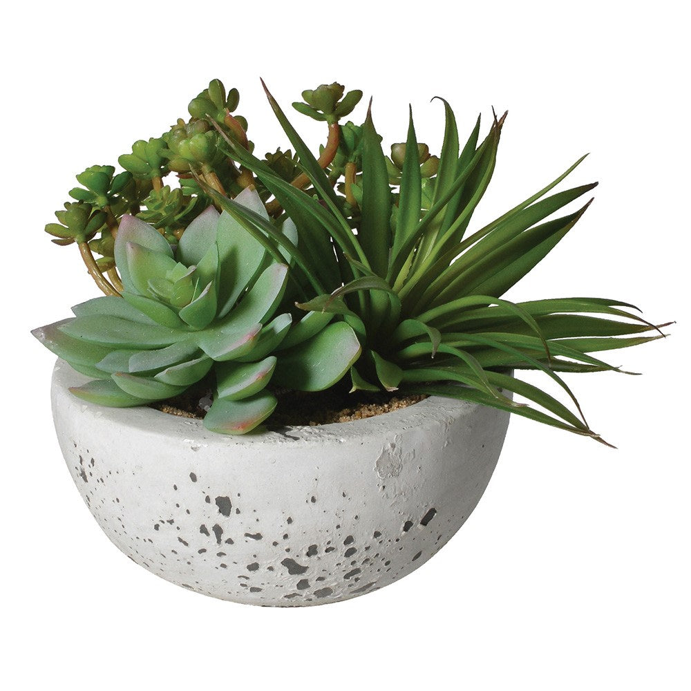 Succulent Pot | Green