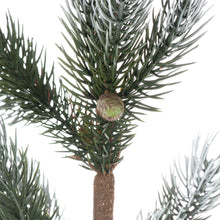 Load image into Gallery viewer, Christmas Fir Tree | Stone Pot

