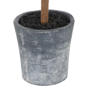 Christmas Fir Tree | Stone Pot