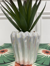 Load image into Gallery viewer, Potted Succulent
