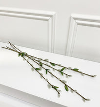 Load image into Gallery viewer, Pussy Willow Stems
