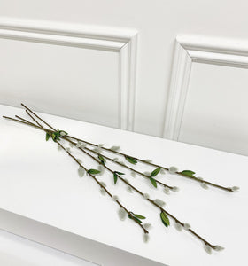 Pussy Willow Stems